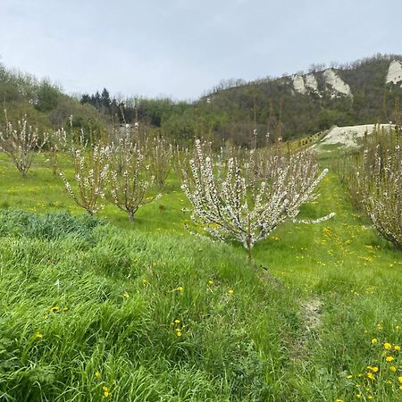Jolie Petite Maison Chez Barbara Garbagna Dış mekan fotoğraf