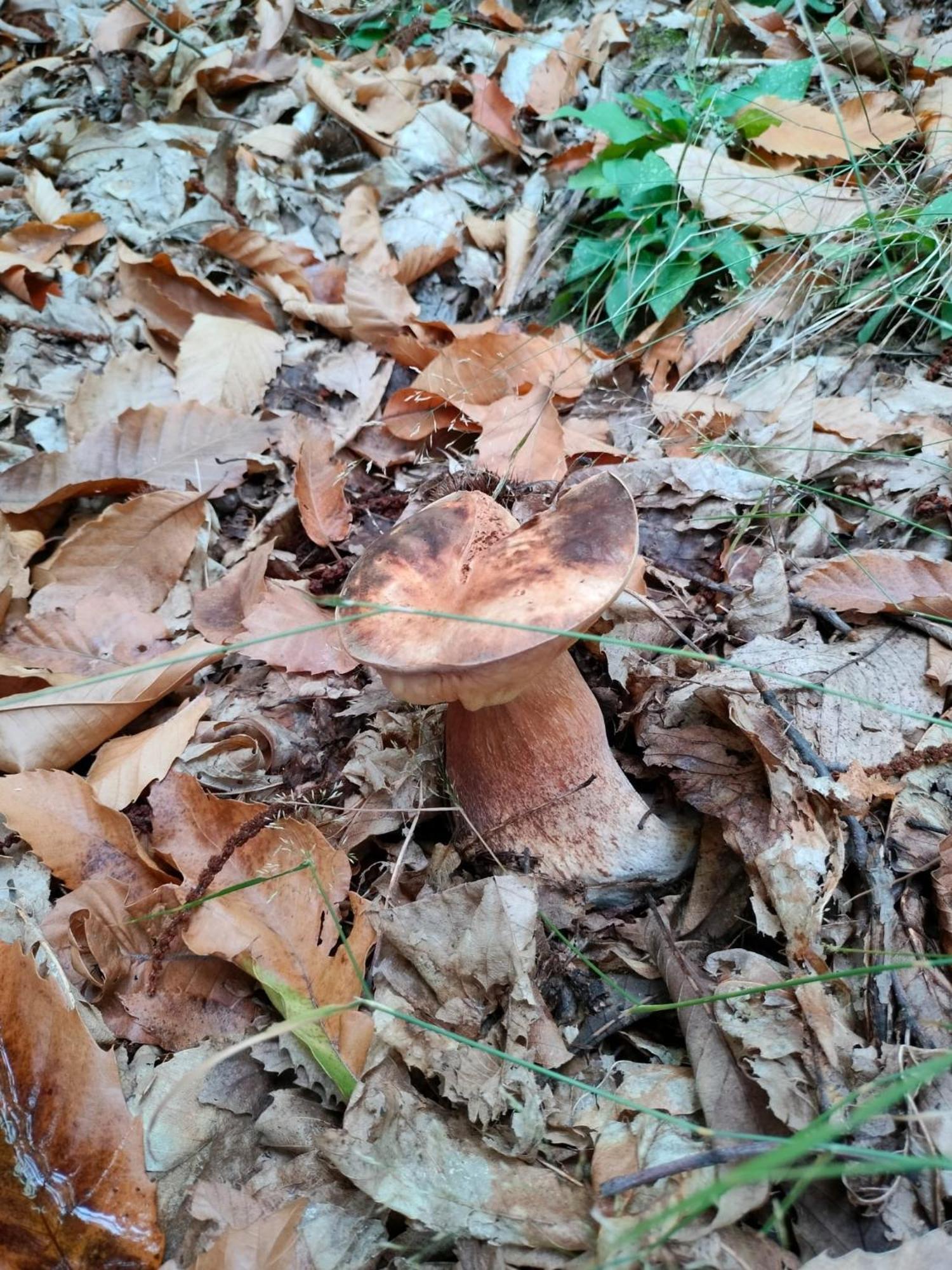 Jolie Petite Maison Chez Barbara Garbagna Dış mekan fotoğraf