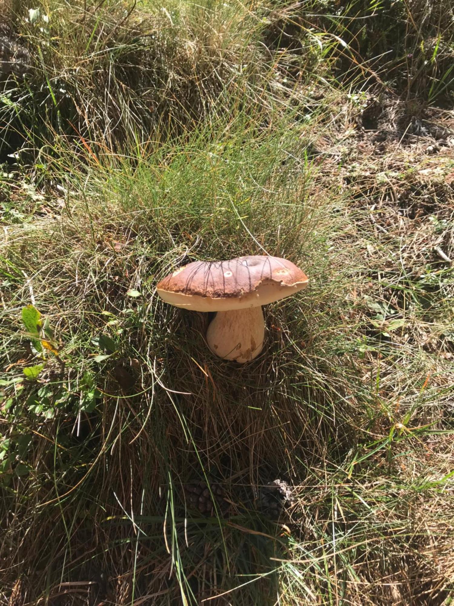 Jolie Petite Maison Chez Barbara Garbagna Dış mekan fotoğraf
