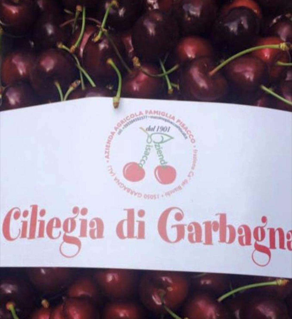 Jolie Petite Maison Chez Barbara Garbagna Dış mekan fotoğraf