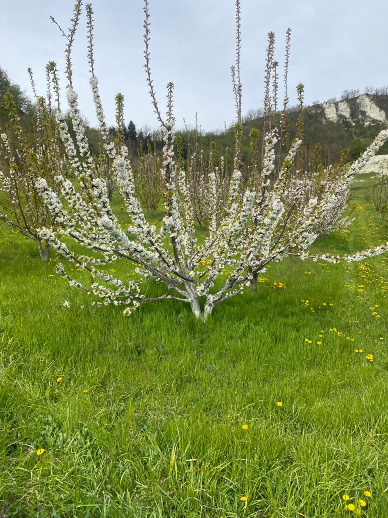 Jolie Petite Maison Chez Barbara Garbagna Dış mekan fotoğraf